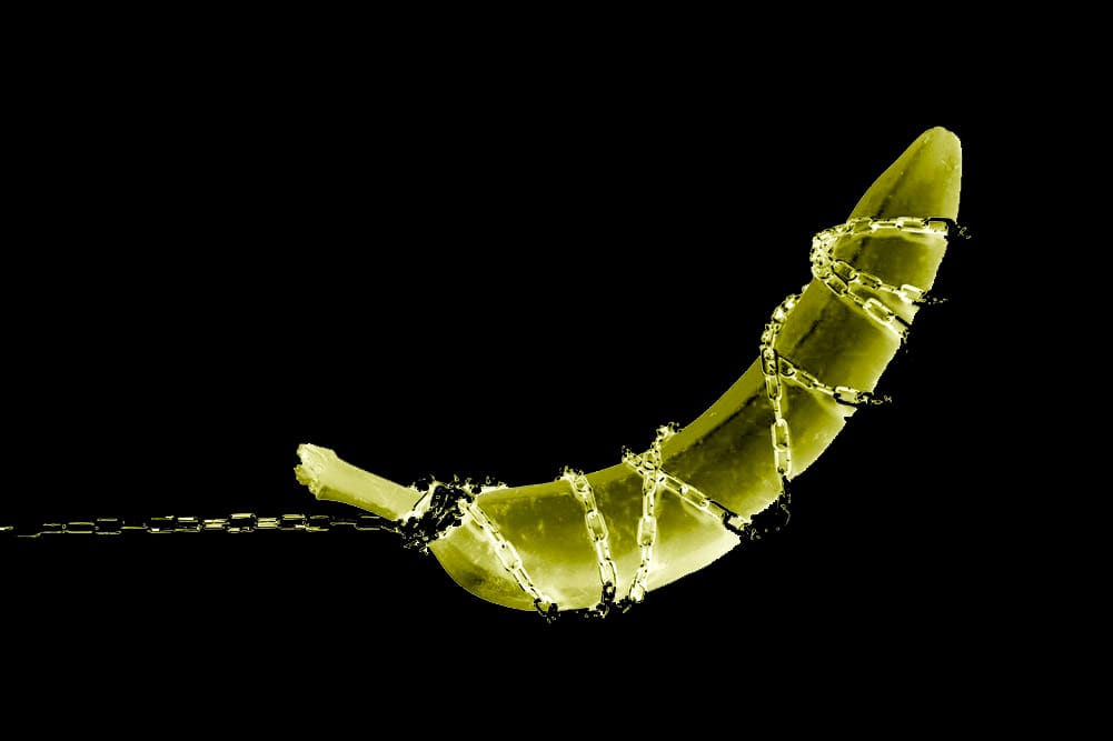 Reverse Shell with Netcat.